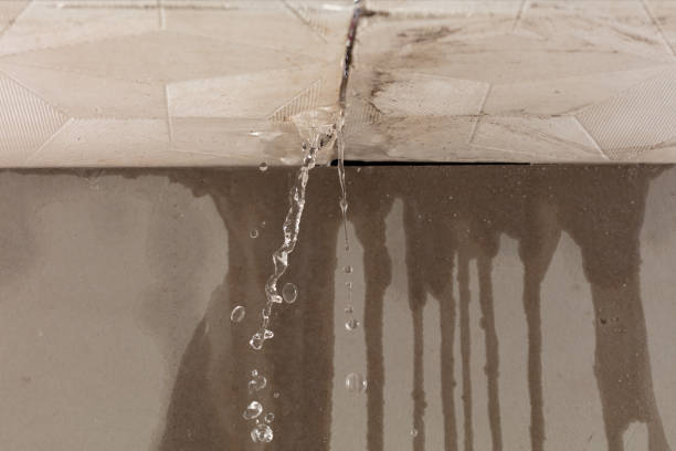 Professional Water Damage Inspection technician working in Lafayette, IN